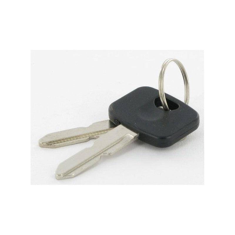 GGP Key, Starting Switch Assy 118210023/0 | SES Direct Ltd