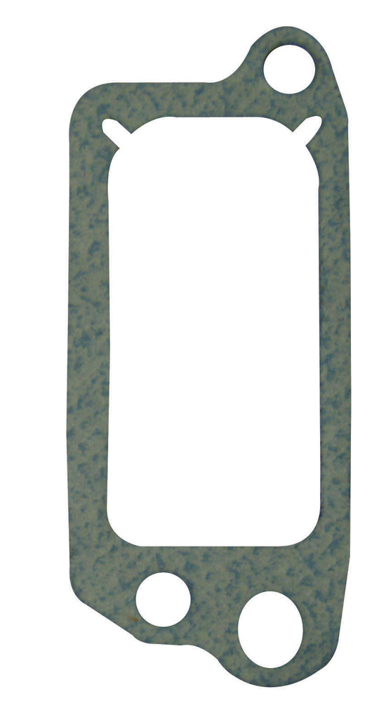 B&S #272481 Valve Gasket Quantum