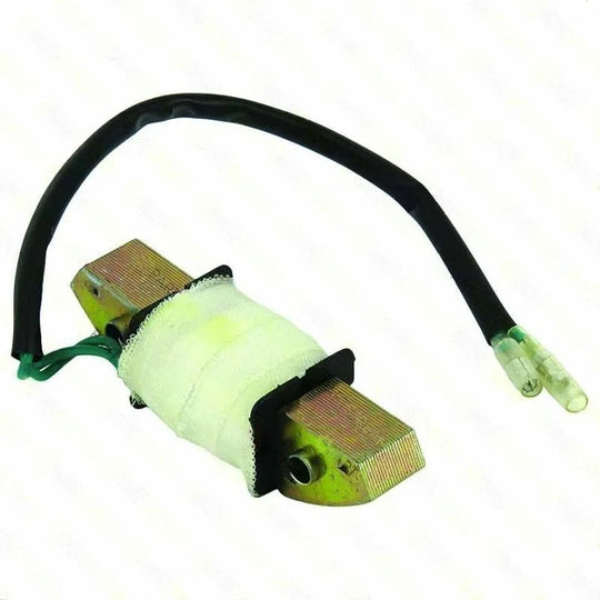 Sina Charge Coil 270190007-0001