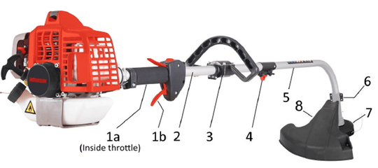 Morrison HEAD, TAP&GO UNC