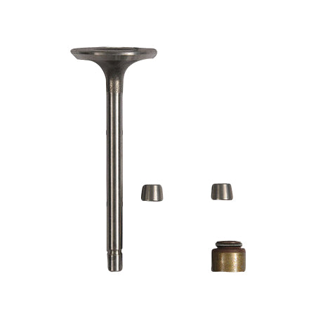 Briggs & Stratton Intake Valve 845712