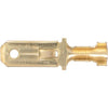 OEX Male Blade Brass Terminal Entry 6.3 X 0.8mm Non Insulated 100 Pce - SES Direct Ltd