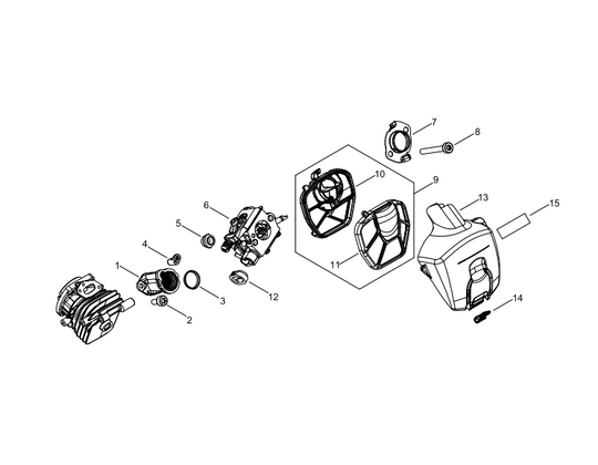 Echo #V351000030 COLLAR