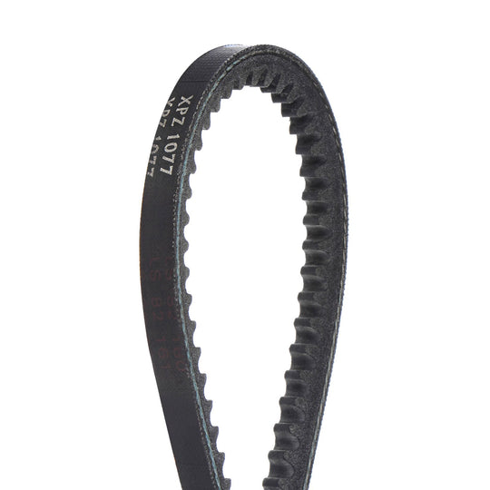 Genuine Masport Belt-V, Rofelx 582028