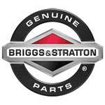 Briggs & Stratton Valve Gasket Set 809856