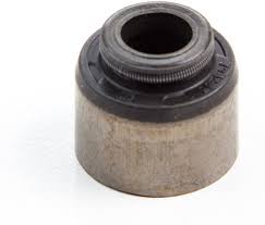 Briggs Seal-Valve 795440, 498592 and 692044.