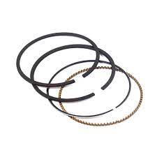 Briggs 791969 Ring Set-Std