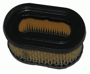 B&S #497725,494586 5Hp Quantum & Europa