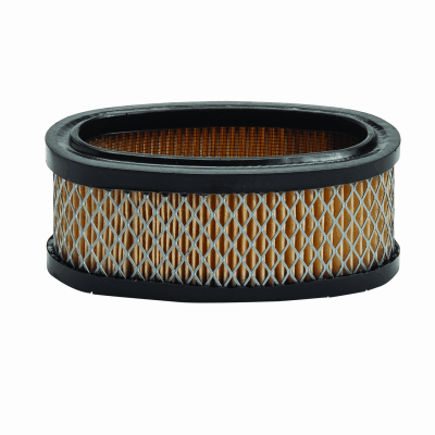Briggs & Stratton #393406 Air Filter