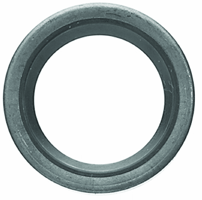 Briggs & Stratton Oil Seal Bottom Quantum #399781 | SES Direct 2026 Ltd