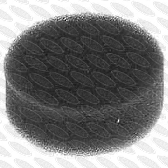 Iron Horse #604274 C & D Series