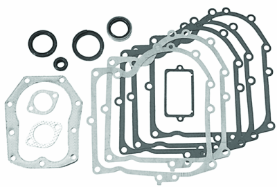 Briggs & Stratton 494241 Engine Gasket Set Replaces 490525