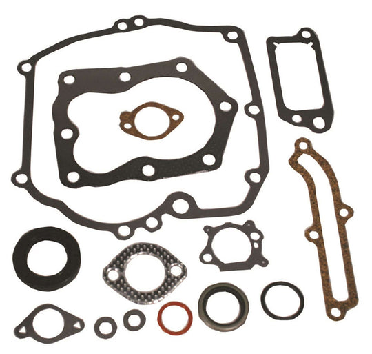 B&S #493263 Gasket Set Quantum