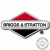 Genuine Briggs & Stratton Pawl-Ratchet 281505S - SES Direct Ltd