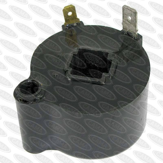 Victa #Ma05554A Ignition Coil