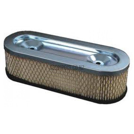 Briggs & Stratton 399968 Oval Air Filter Cartridge