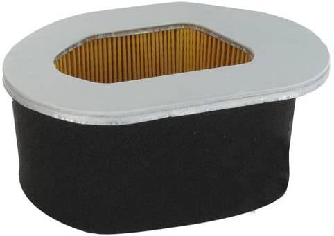 Robin Air Filter 2673500301, 70594