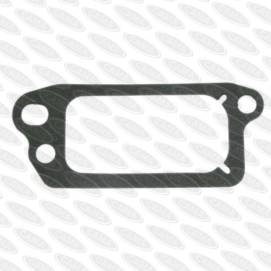B&S #272481 Valve Gasket Quantum