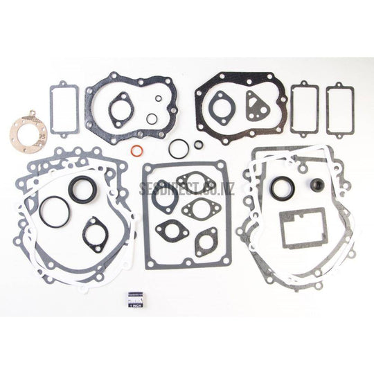Briggs & Stratton 495868 Engine Gasket Set Replaces 491856 394501
