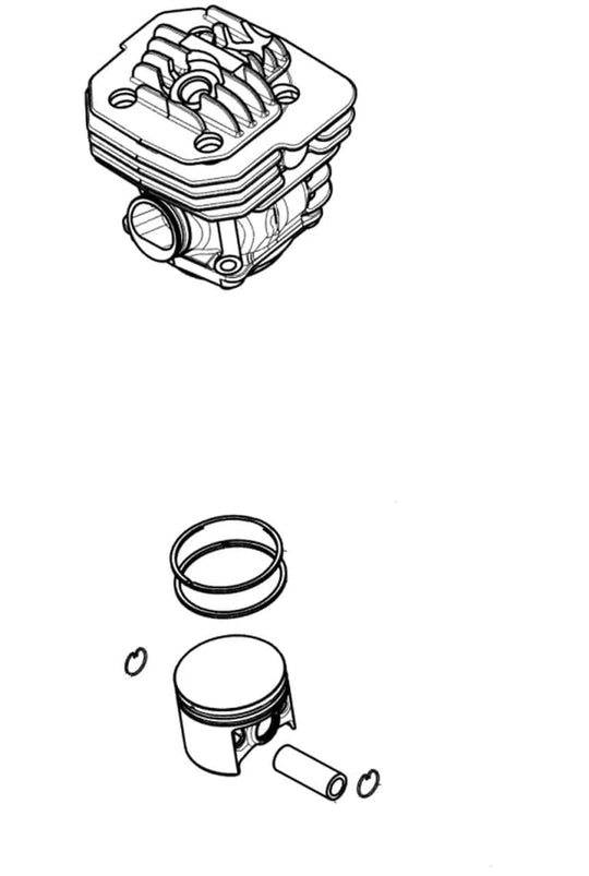 Complete Cylinder, Emak Gs650 #50252011A