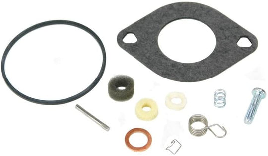 Briggs & Stratton Ruixing Carburetor Overhall Kit #594886