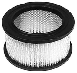 Air Filter Kohler / Tecumseh 231847, 31925, Am30800, 15373, 548436R1
