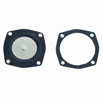 Tecumseh #630978 Diaphragm Kit