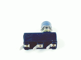 Castelgarden #194106031 Micro Switch
