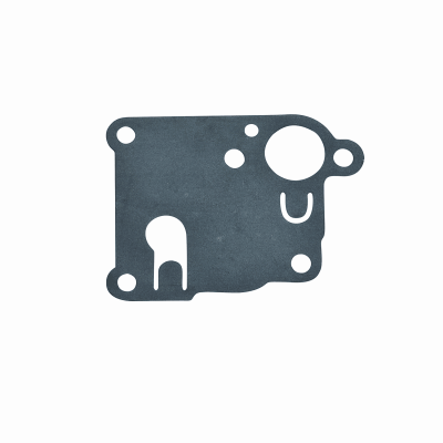 B&S #270253 Diaphragm