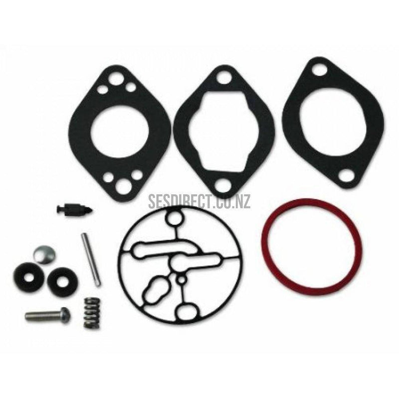 Briggs & Stratton 696146 Carburetor Overhaul Kit | SES Direct Ltd