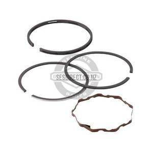 Briggs & Stratton Ring Set 696403