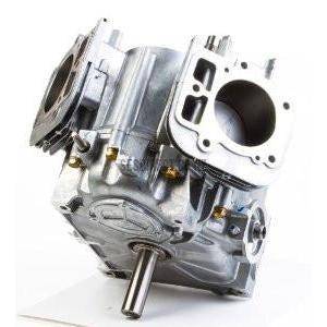 Briggs & Stratton Shortblock 44 Vert