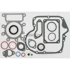 Briggs & Stratton 796181 Engine Gasket Set Replaces 697151