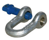 Dee Shackle - Galvanised (11Mm Pin)-Dee Shackle-SES Direct Ltd