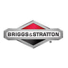 Briggs & Stratton Hose Fitting Inlet With Filter Pw00020A-Inlet Filter-SES Direct Ltd