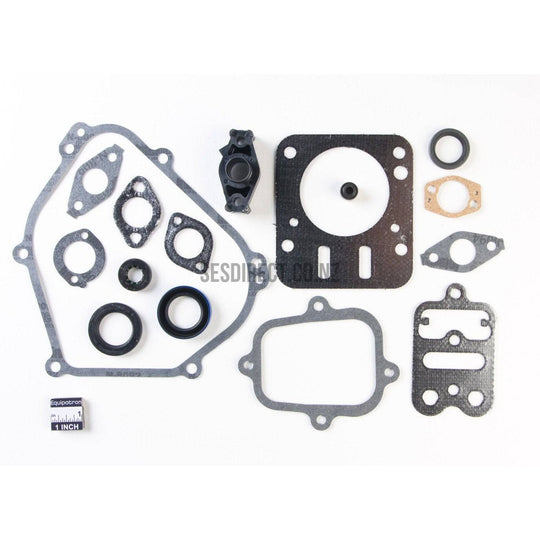 Briggs & Stratton 698216 Engine Gasket Set Replaces 695155 690031