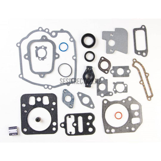 Briggs & Stratton 795442 Engine Gasket Set Replaces 792384 694090