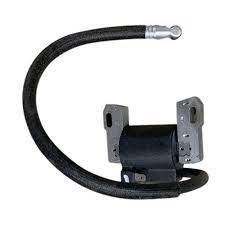 Briggs & Stratton Coil Pack #843860