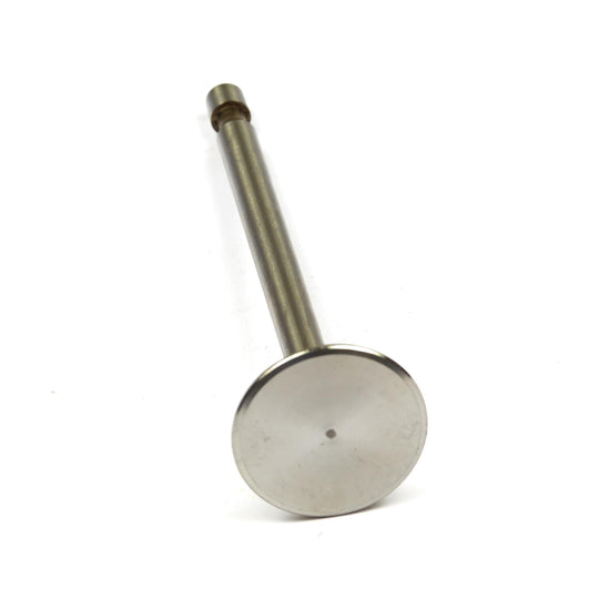 Briggs & Stratton 690429 Inlet Valve - OBSOLETE