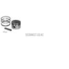 Piston & Ring Set Kit( Includes Pin & Clips) Std Robin Ey15-Piston Assembly-SES Direct Ltd