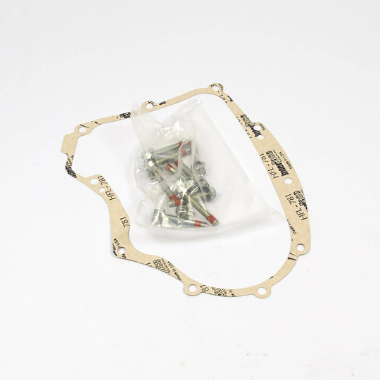 Briggs & Stratton Crankcase Gasket Kit 594195