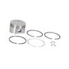 Piston Assy-Std #697069-Piston Assembly-SES Direct Ltd