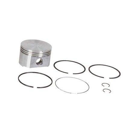 Piston Assy-Std #697069